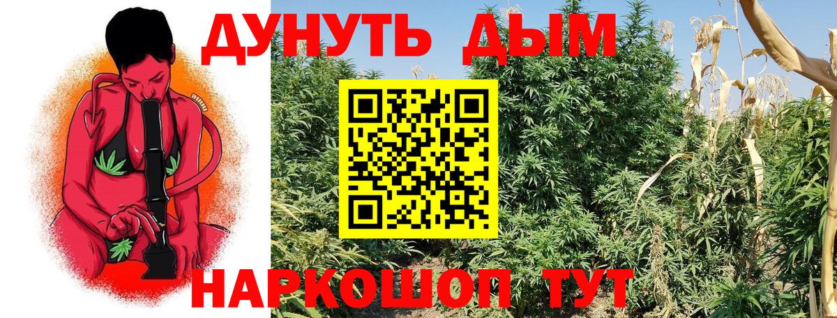 МАРИХУАНА сатива  Вход с VPN  Конопля марихуана  Россия  Конопля Bruce Banner  Конопля гибрид 